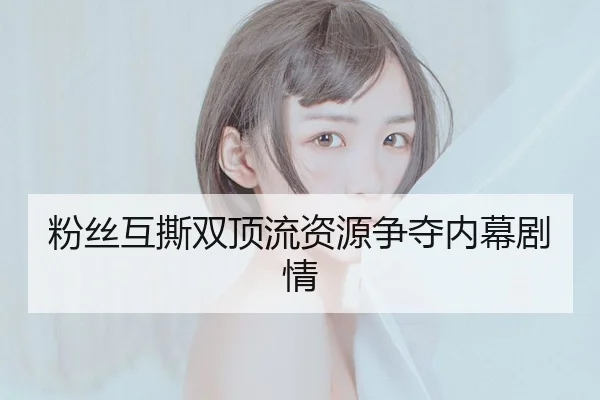 粉丝互撕双顶流资源争夺内幕剧情